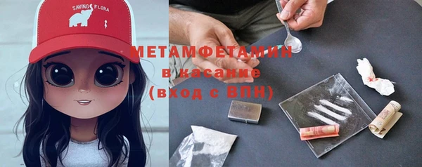 гидра Горняк