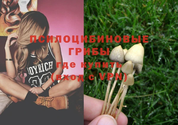марки nbome Горнозаводск