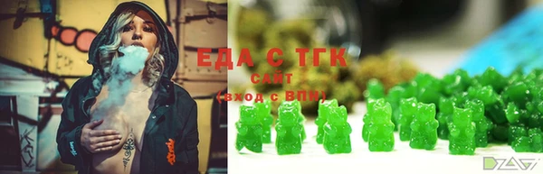 гидра Горняк