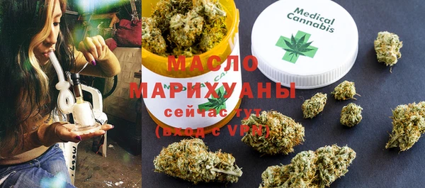 гидра Горняк