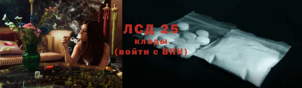 гидра Горняк