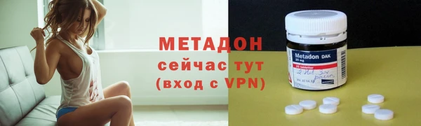 гидра Горняк
