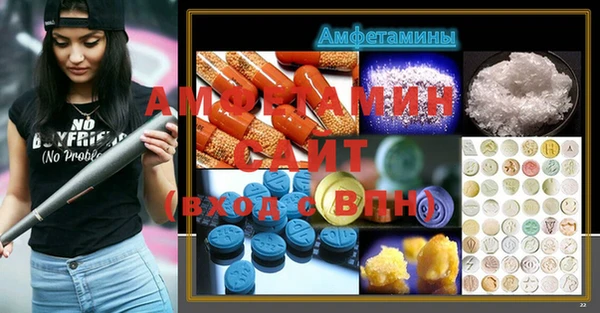 гидра Горняк