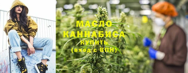 гидра Горняк